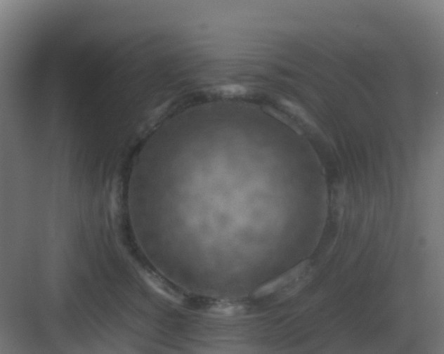 X0000082990760200702081834