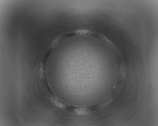 X0000082990761200702081834