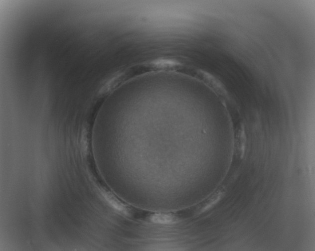 X0000082990762200702081834