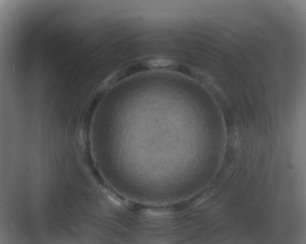 X0000082990763200702081834