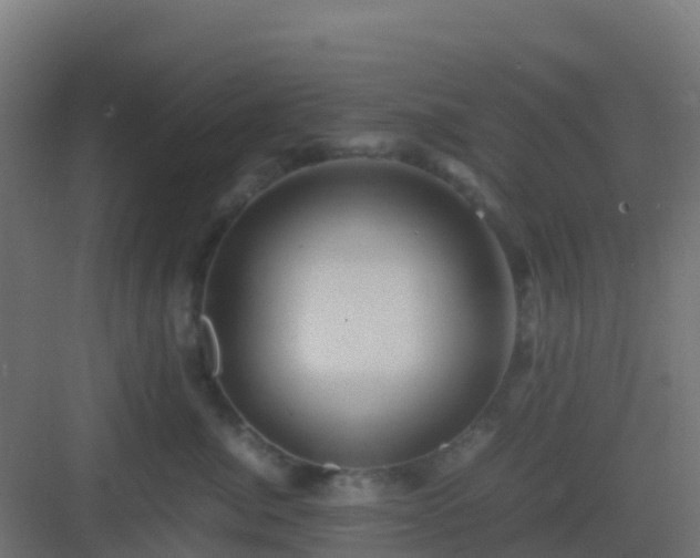 X0000082990764200702081834