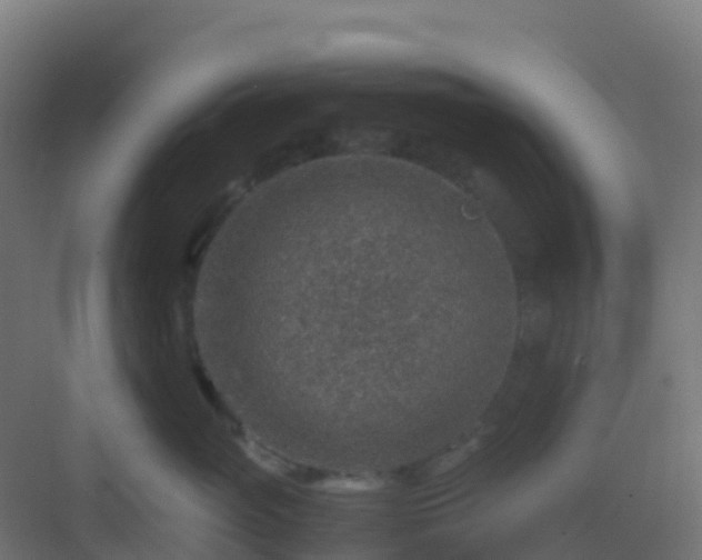 X0000082990765200702081834