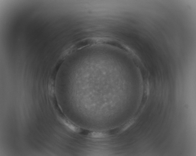 X0000082990766200702081834