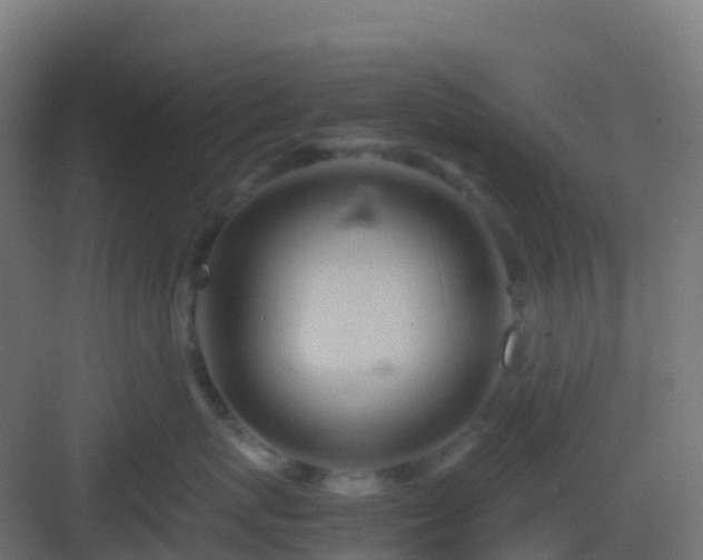 X0000082990767200702081834