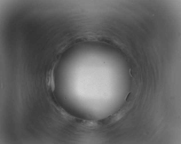 X0000082990768200702081834