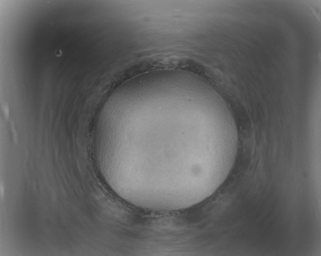 X0000082990769200702081833