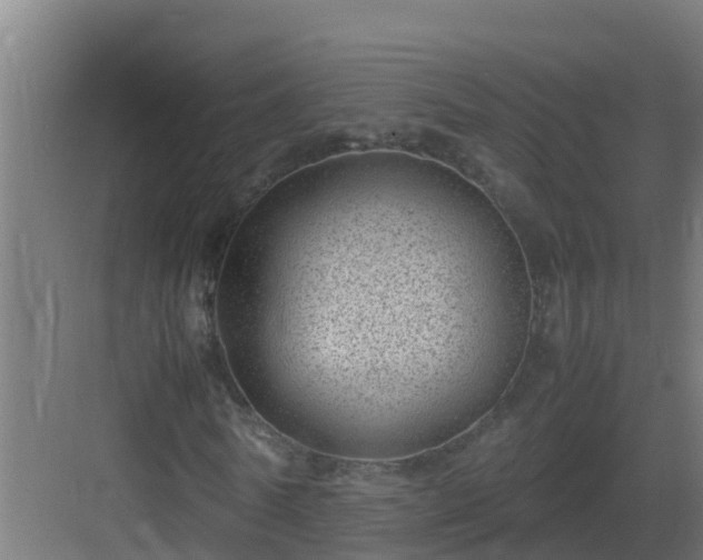 X0000082990770200702081833