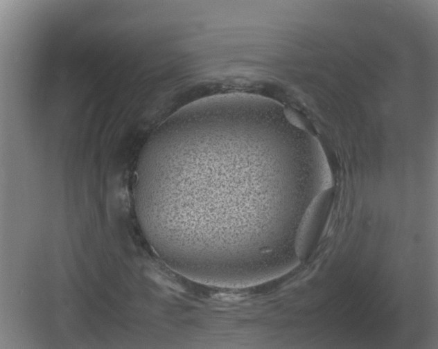 X0000082990771200702081833