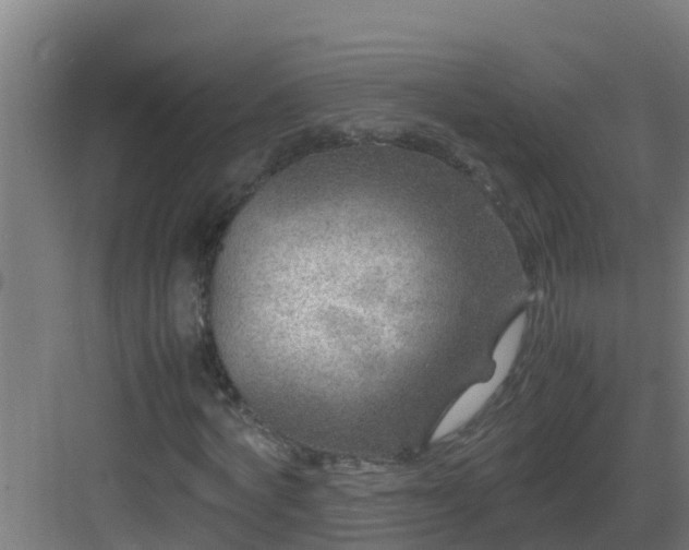 X0000082990772200702081833