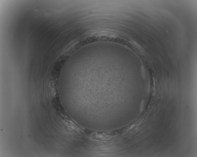 X0000082990774200702081833