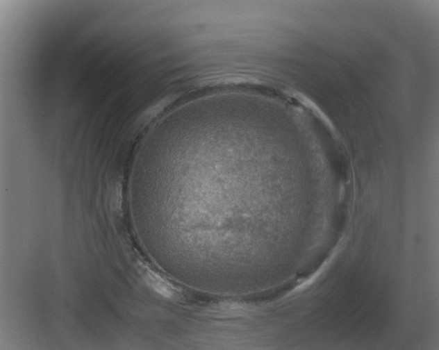 X0000082990777200702081833