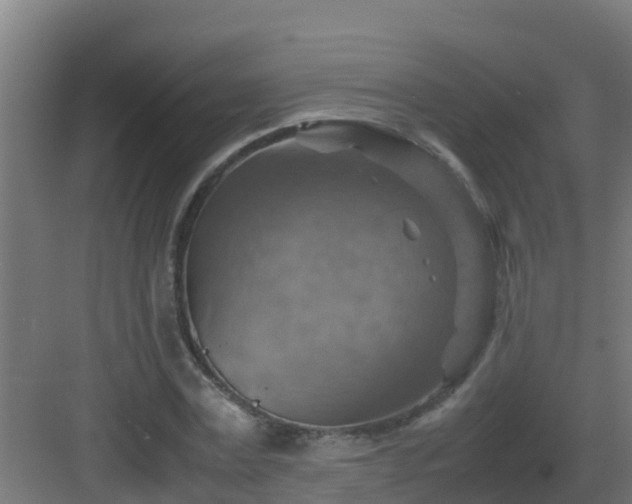 X0000082990779200702081833