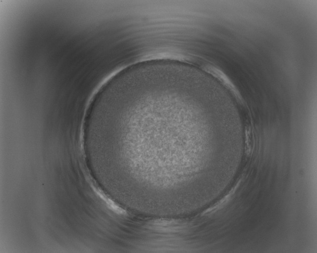 X0000082990780200702081833