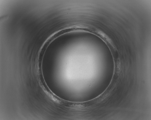 X0000082990784200702081833