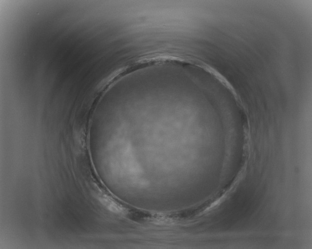 X0000082990785200702081833