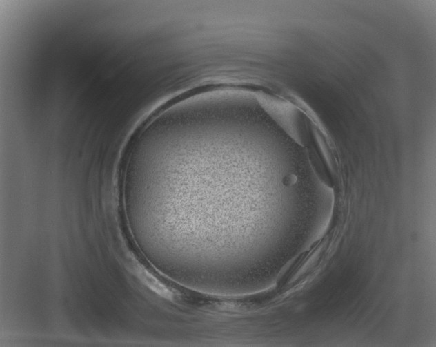 X0000082990787200702081833