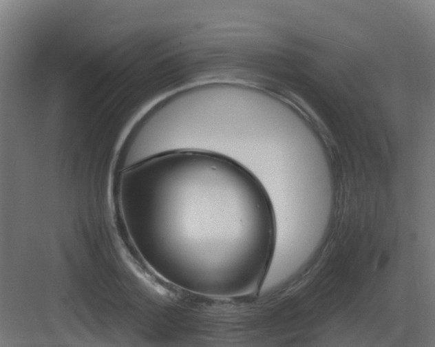 X0000082990788200702081833