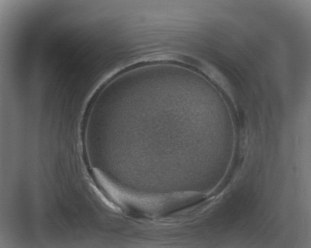 X0000082990789200702081833