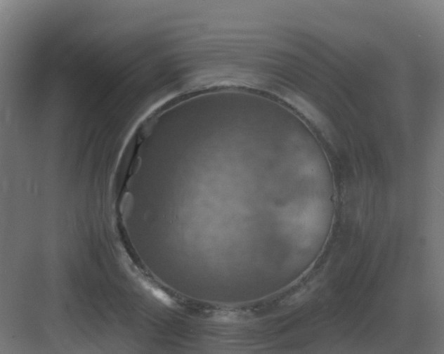 X0000082990790200702081833