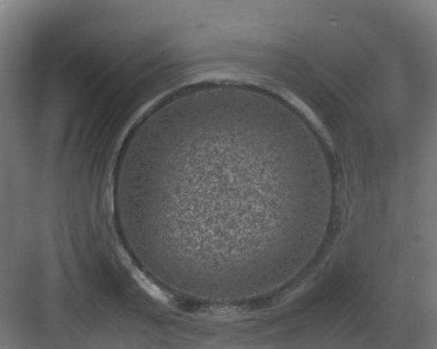 X0000082990791200702081833