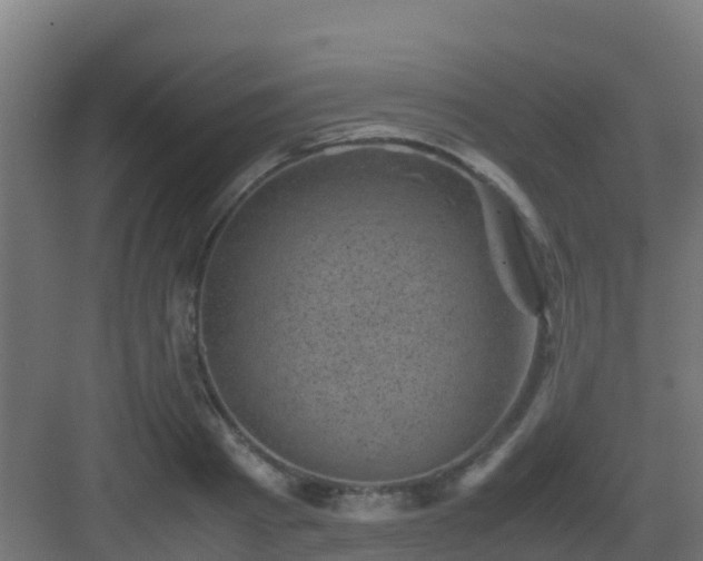 X0000082990793200702081833