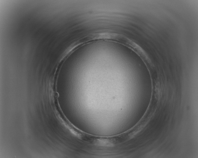 X0000082990794200702081833