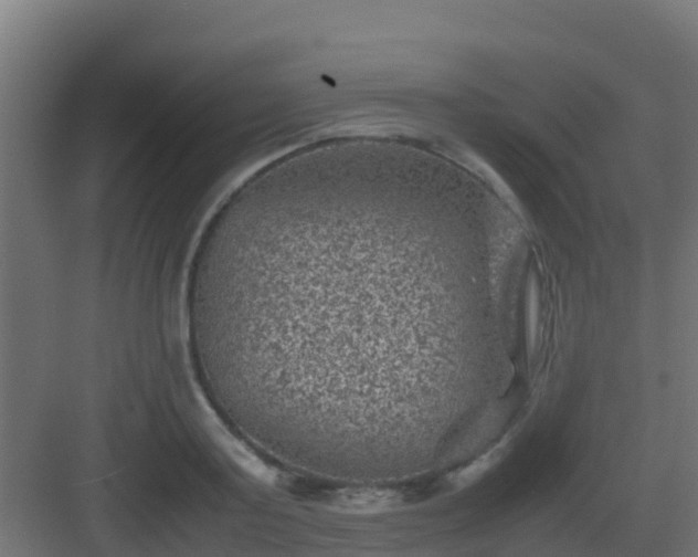 X0000082990795200702081833