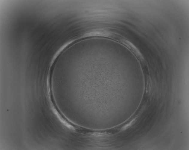 X0000082990796200702081833