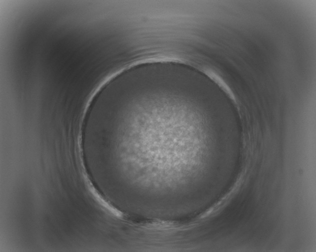 X0000082990797200702081833