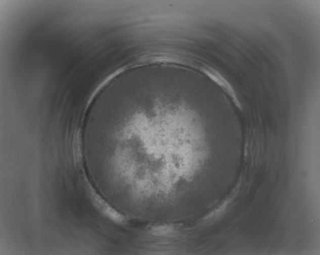 X0000082990798200702081833