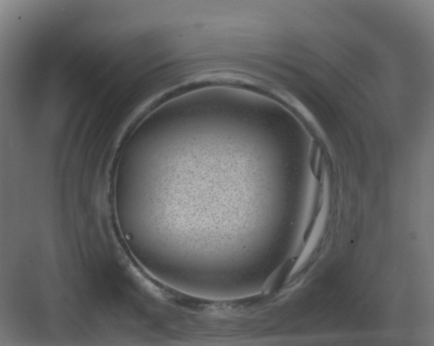 X0000082990799200702081833