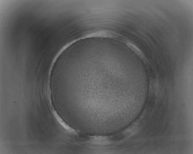 X0000082990800200702081833