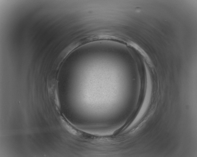 X0000082990801200702081833