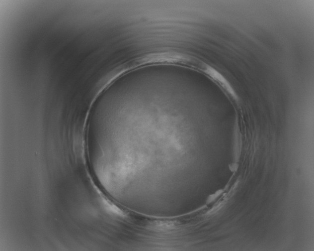 X0000082990802200702081833