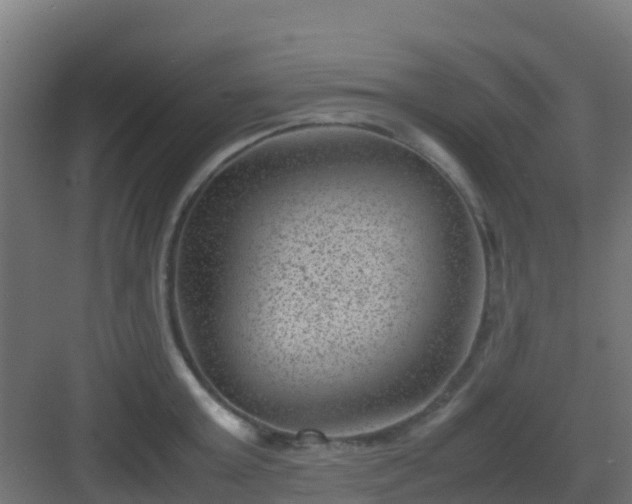 X0000082990803200702081833