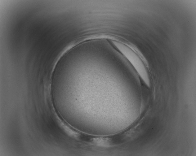 X0000082990805200702081833