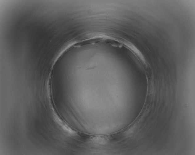 X0000082990806200702081833