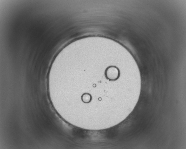 X0000082990807200702081833