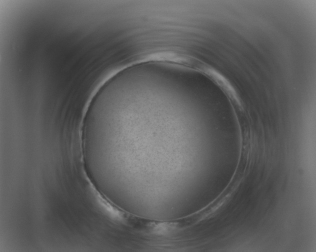 X0000082990808200702081833