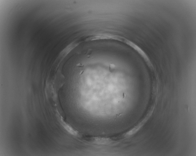 X0000082990809200702081833