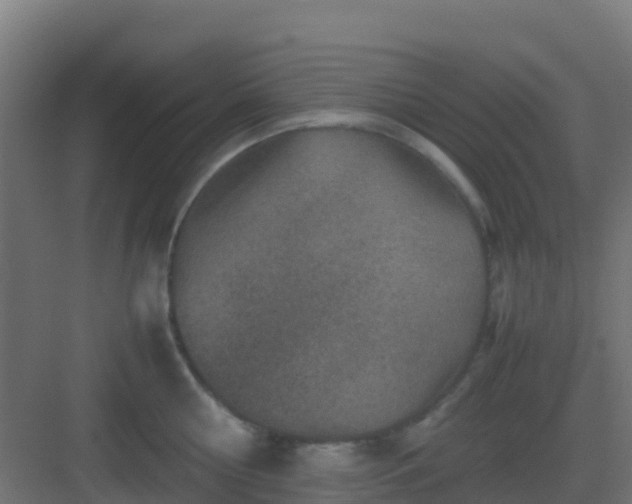 X0000082990810200702081833