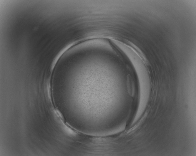 X0000082990812200702081833