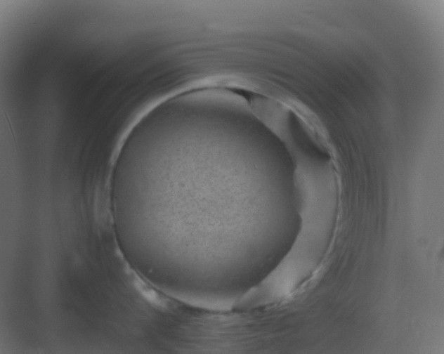 X0000082990816200702081833