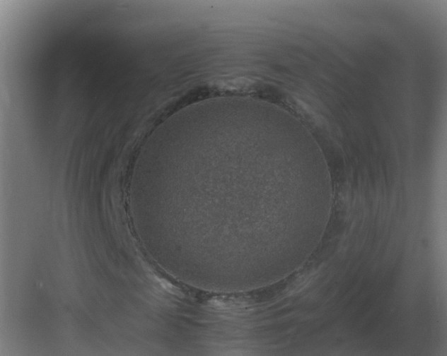 X0000082990817200702081832