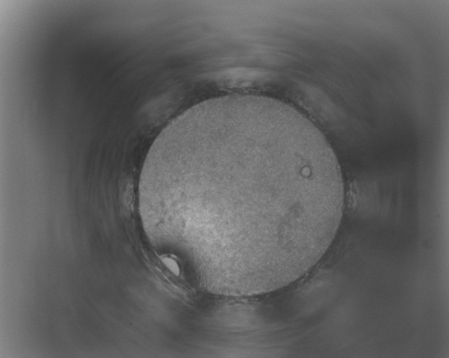 X0000082990820200702081832