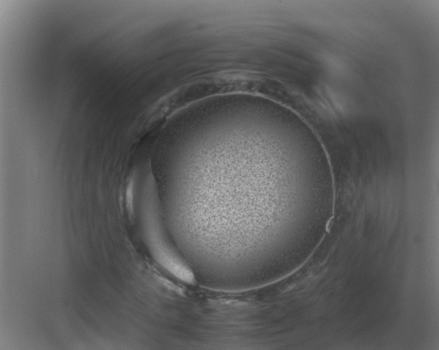 X0000082990821200702081832