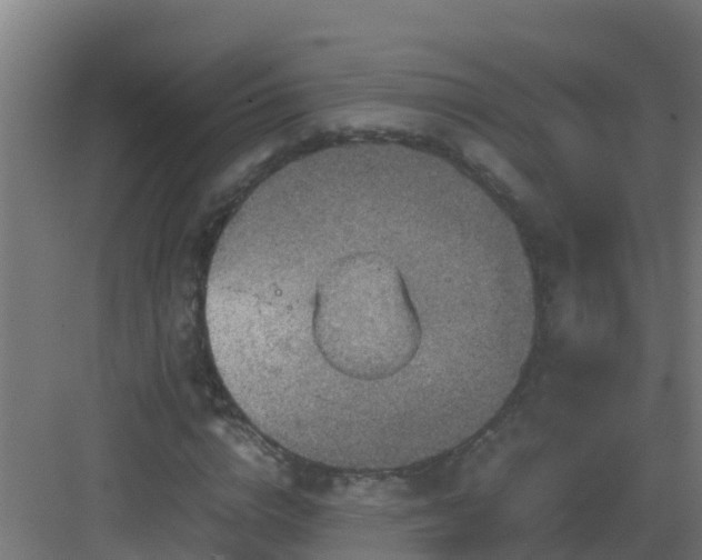 X0000082990824200702081832