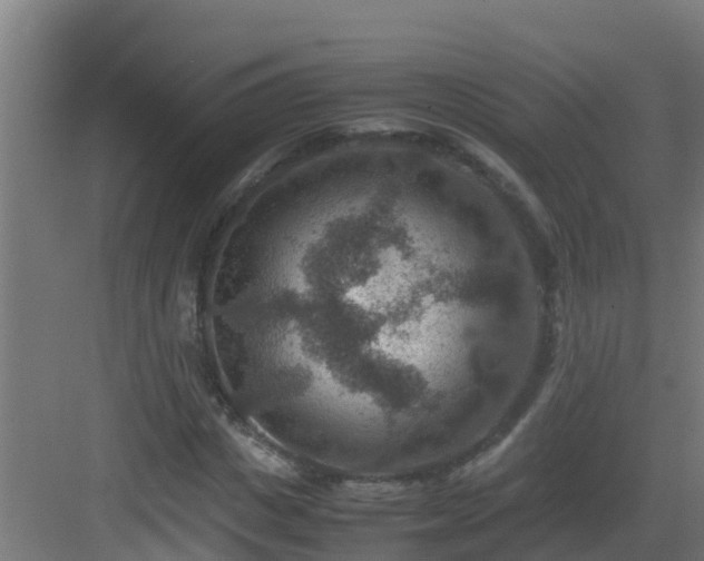 X0000082990825200702081832