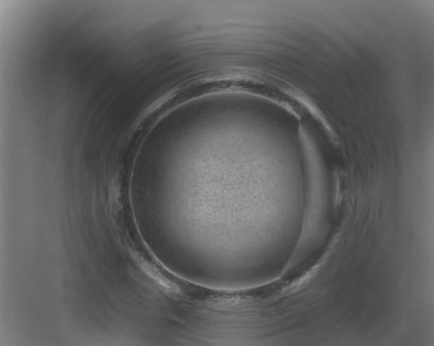 X0000082990826200702081832