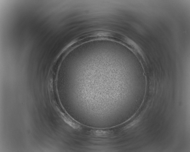 X0000082990827200702081832